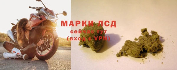 спиды Абинск
