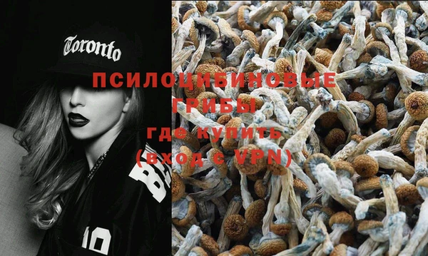 спиды Абинск