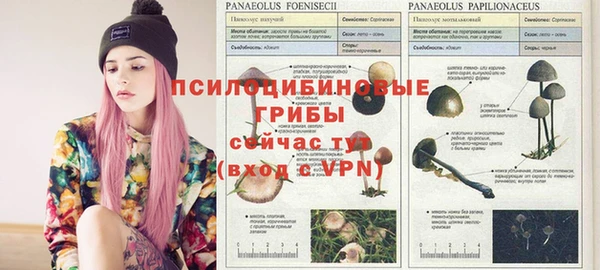 гашишное масло Абаза
