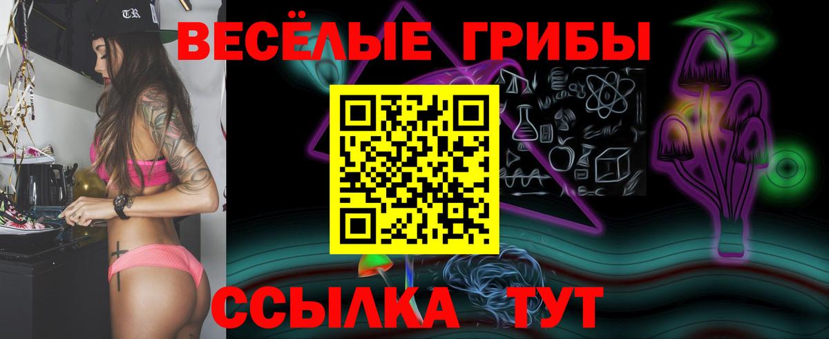 Псилоцибиновые грибы Psilocybine cubensis Партизанск