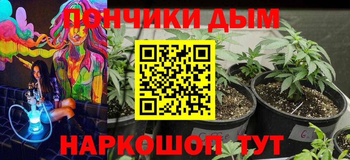 Бошки Шишки MAZAR Партизанск